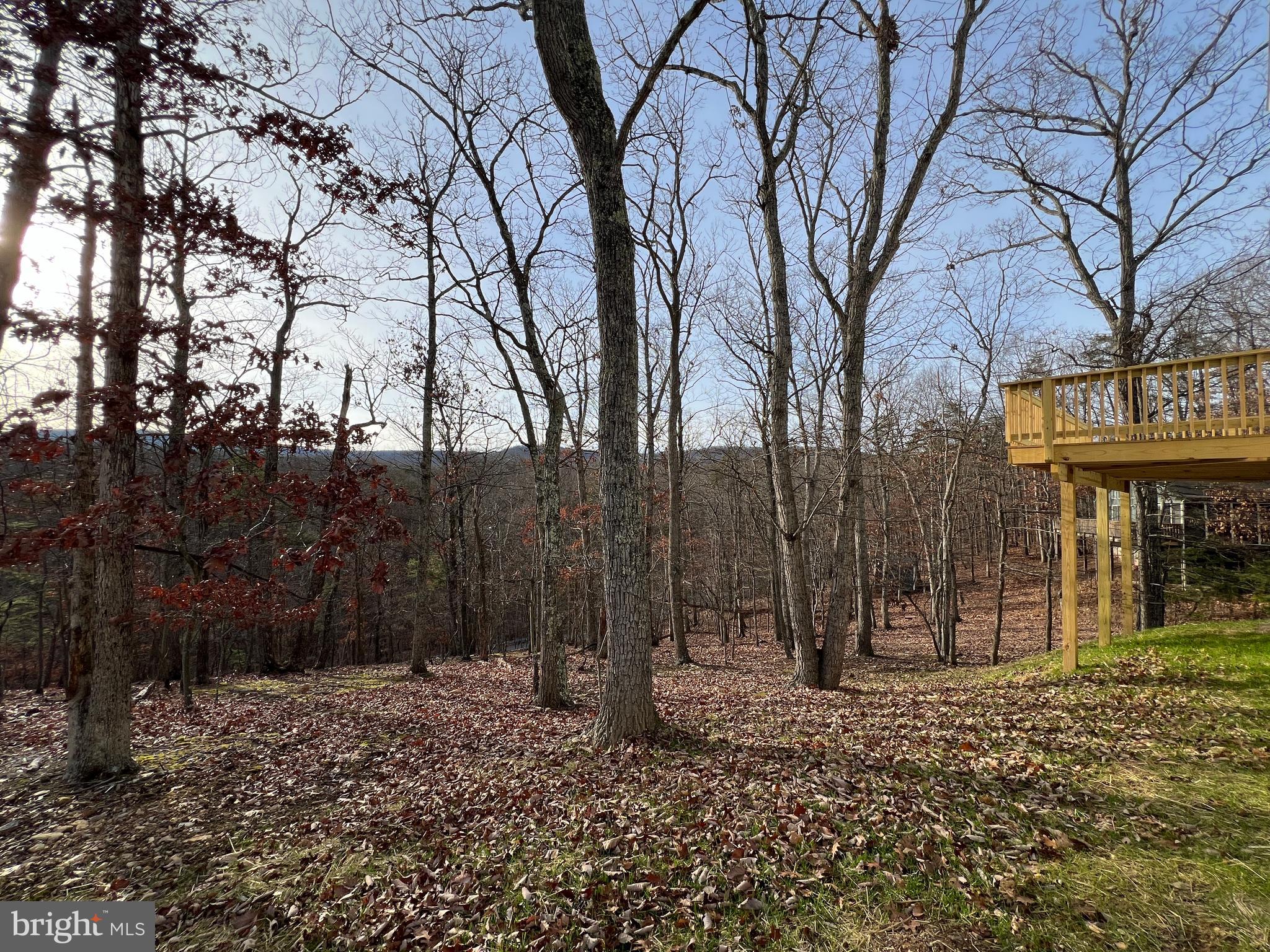 THE WOODS - Residential