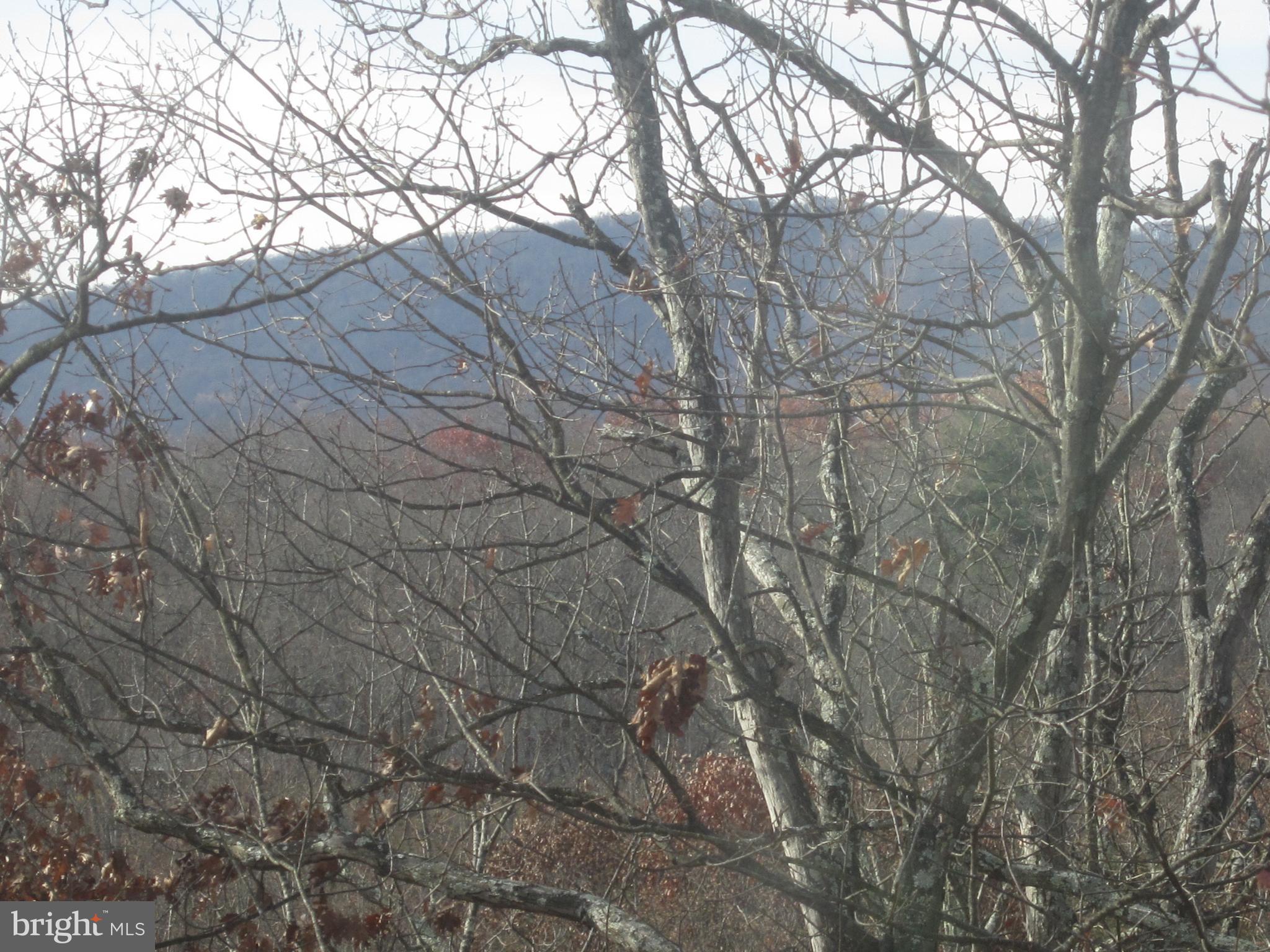 THE WOODS - Residential