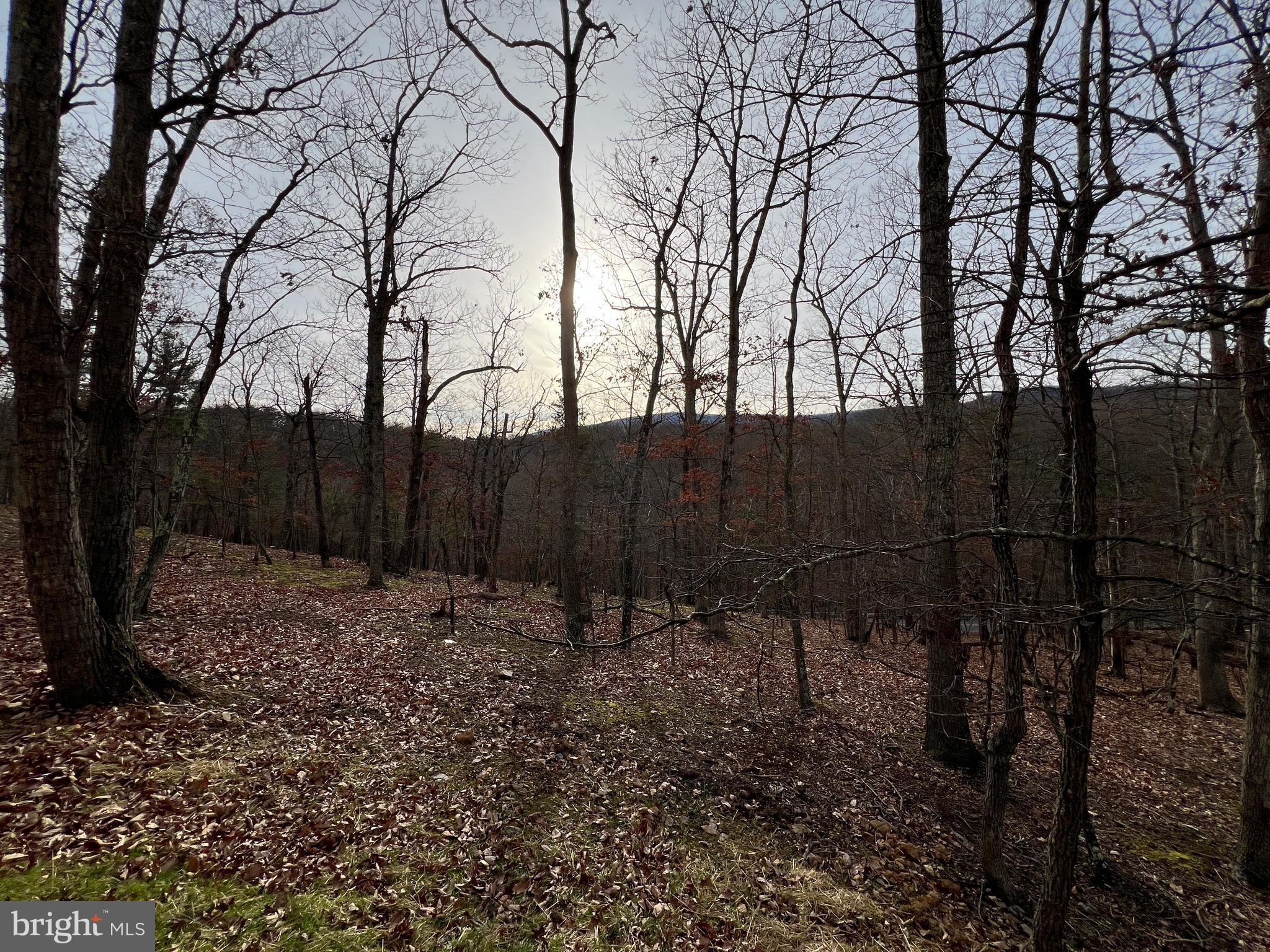 THE WOODS - Residential