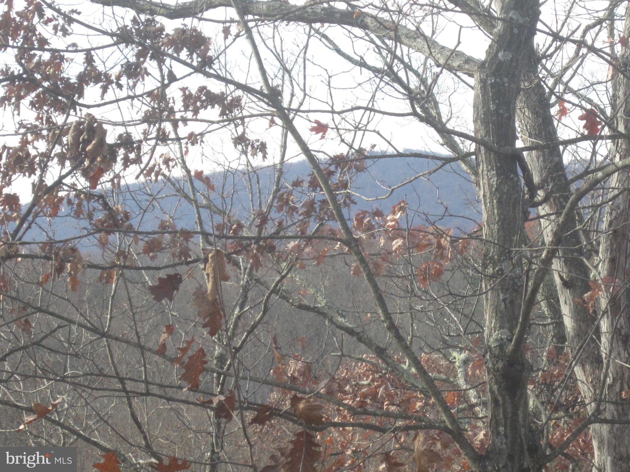 THE WOODS - Residential