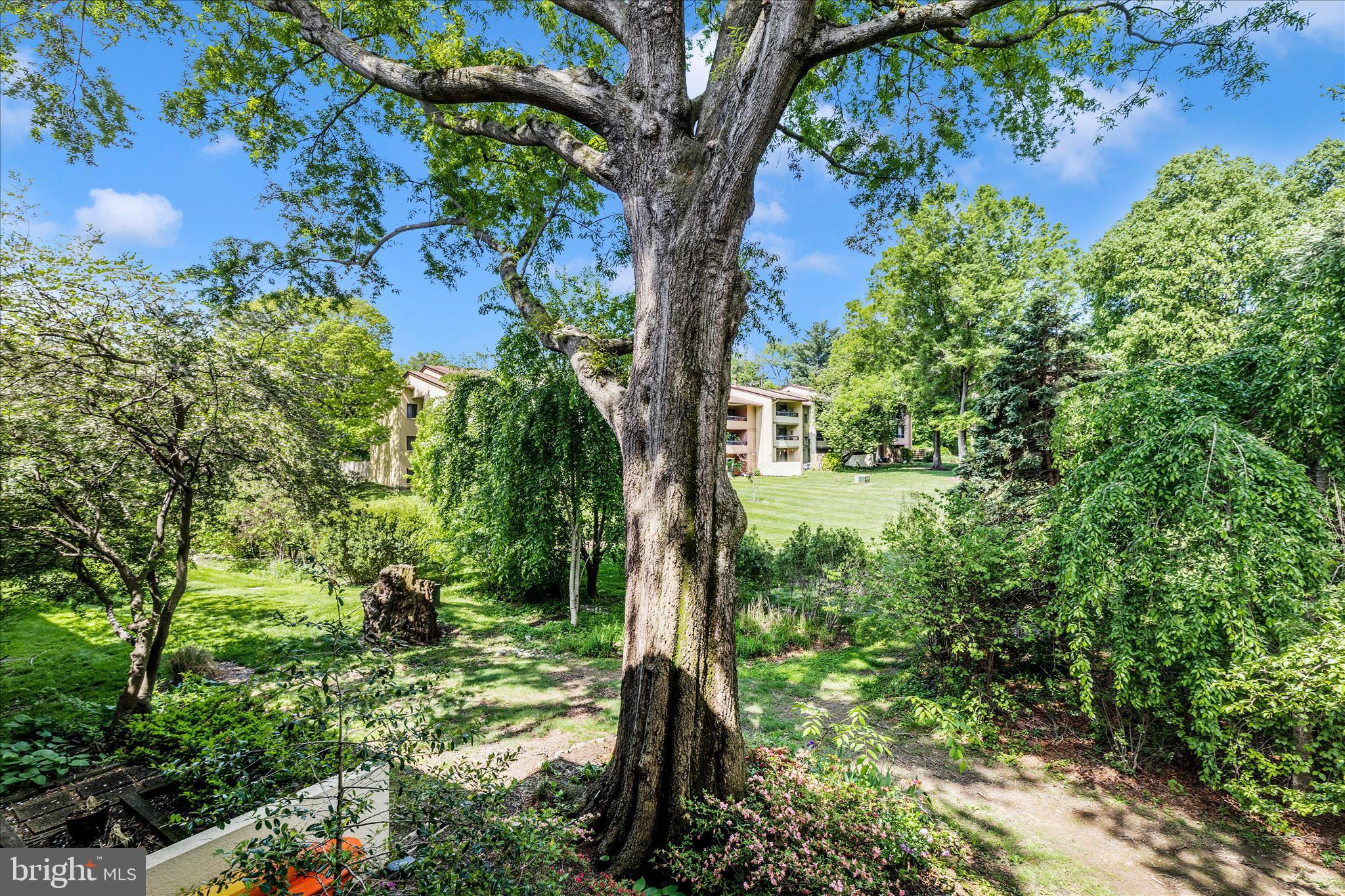 DEERING WOODS - Residential