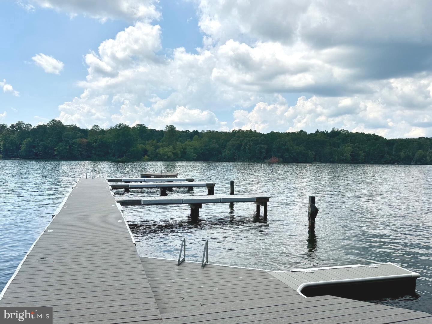 13323 ALVA BROOKS LANE