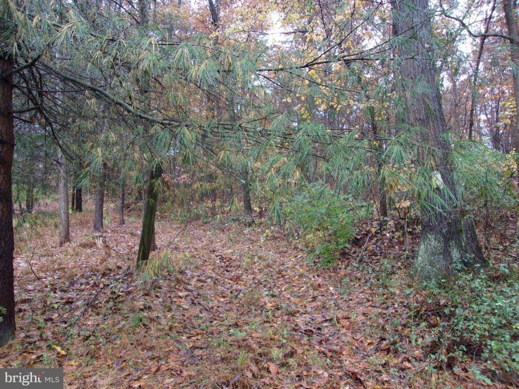 NONE AVAILABLE - Land