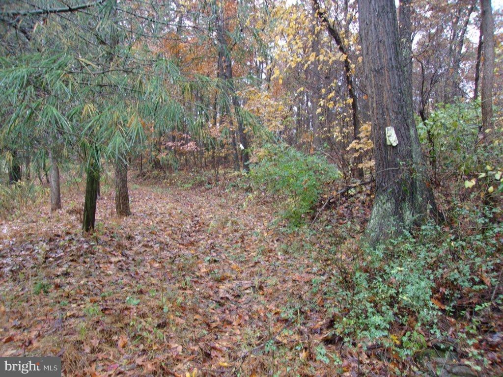 NONE AVAILABLE - Land