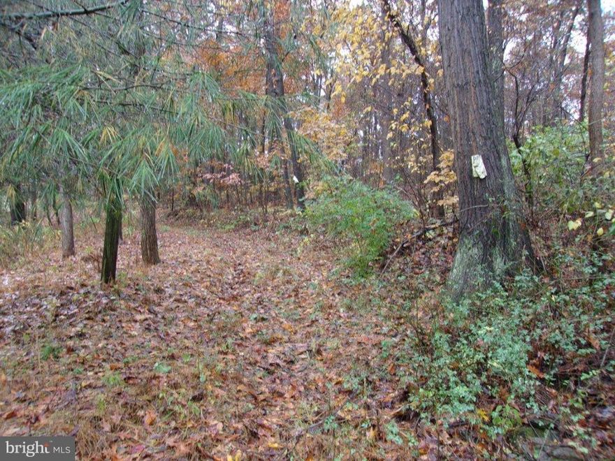 Build your home on the flat, level top with a scenic view, approved for Sand Mound, but could be re-perked to determine if a newer system would work.  Needs a well.  The Lot is to the left of a house and a mobile home.  There is a dirt road from Husson to the top.