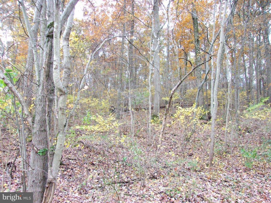 NONE AVAILABLE - Land