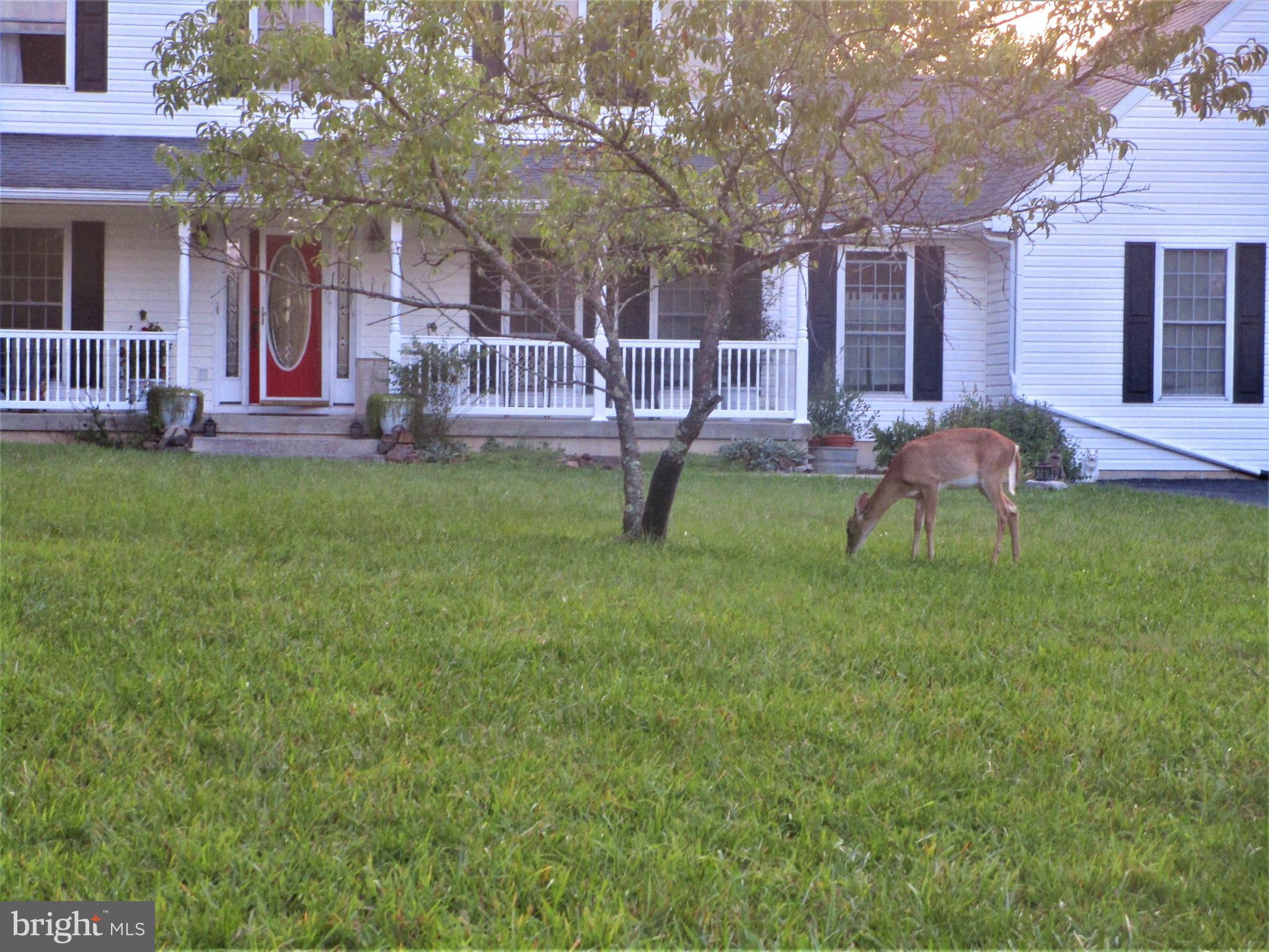 DOGWOOD RIDGE - Residential