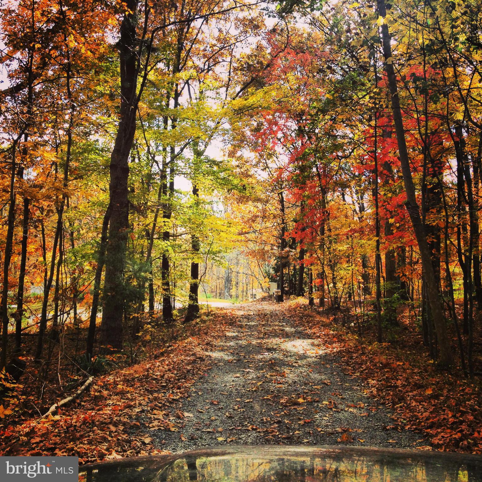 MOUNTAIN ROAD - Residential