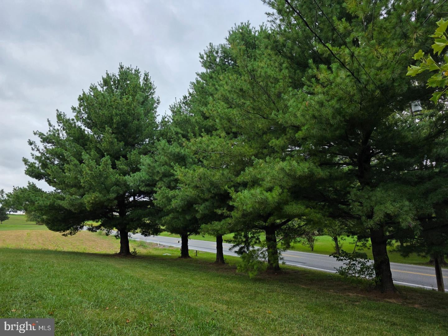 14230 FORT LOUDON ROAD