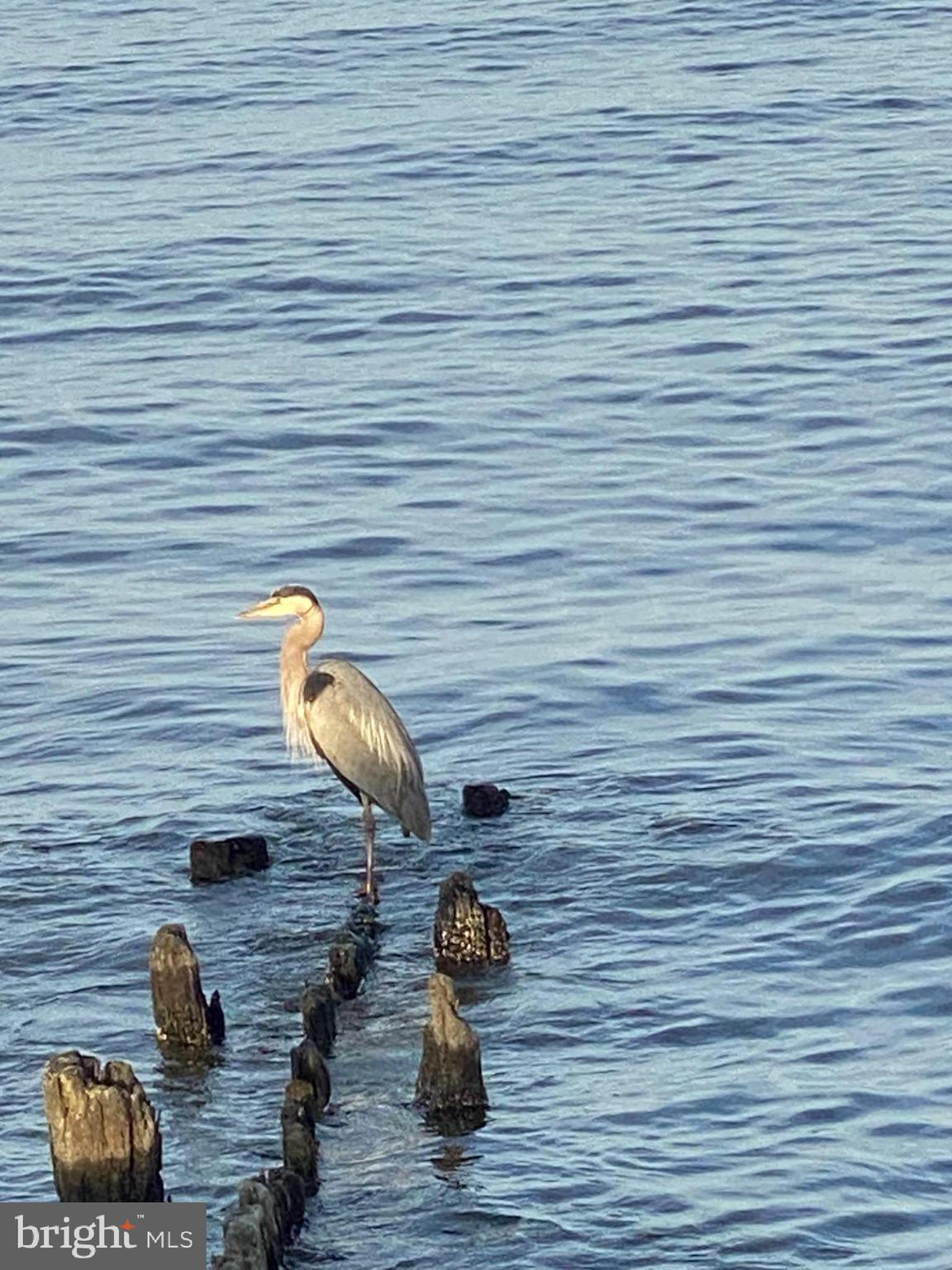 BURNT OAKS - Residential
