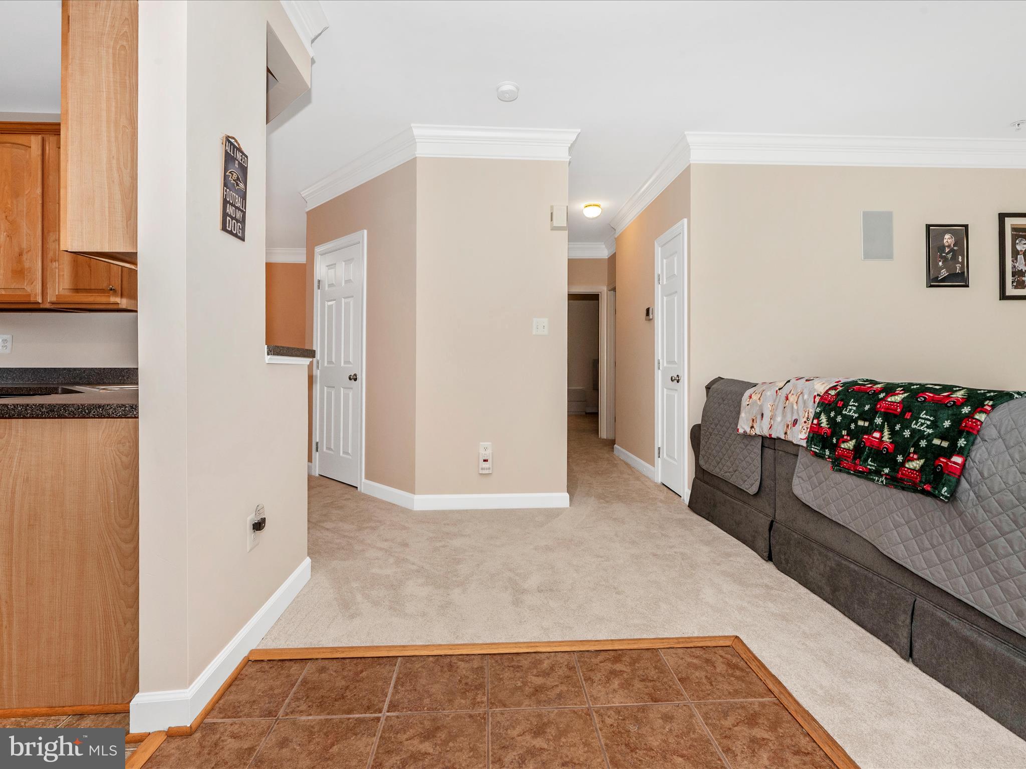 BALLENGER CROSSING - Residential