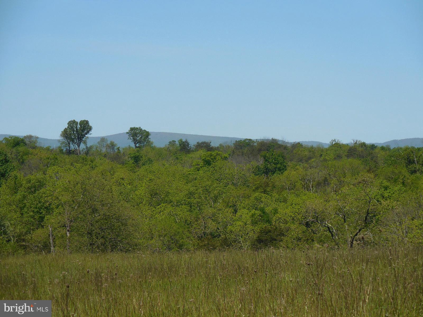 NONE AVAILABLE - Land