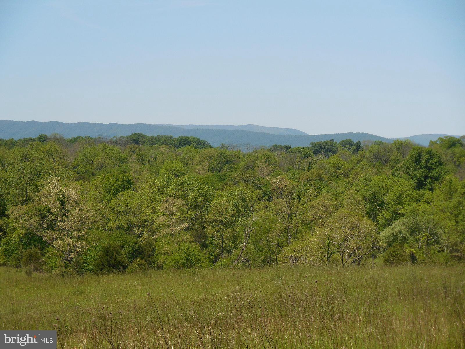 NONE AVAILABLE - Land