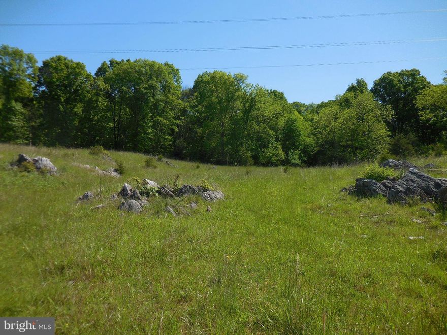 32+ acres of open hay field with  nice views of the mountains and surrounding hillsides.  Overhead power lines on a portion of property.  Zoned agricultural and is currently in land use.  Seller will not pay roll back taxes.  Perked for 4BR home.  Property is adjacent to The Inn at Vaucluse Spring.  Seller revising current covenants.  Nice building site with mountain views!