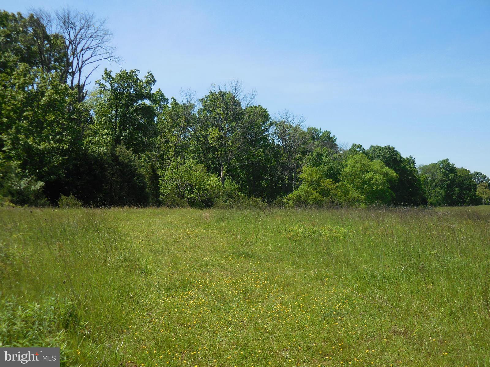 NONE AVAILABLE - Land