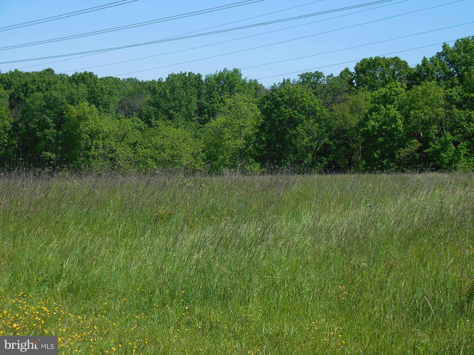 NONE AVAILABLE - Land