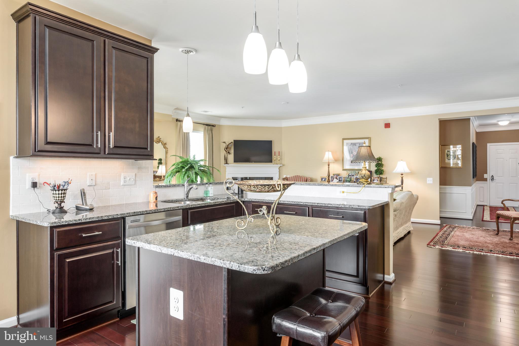 POTOMAC GREEN CONDOMINIUM - Residential