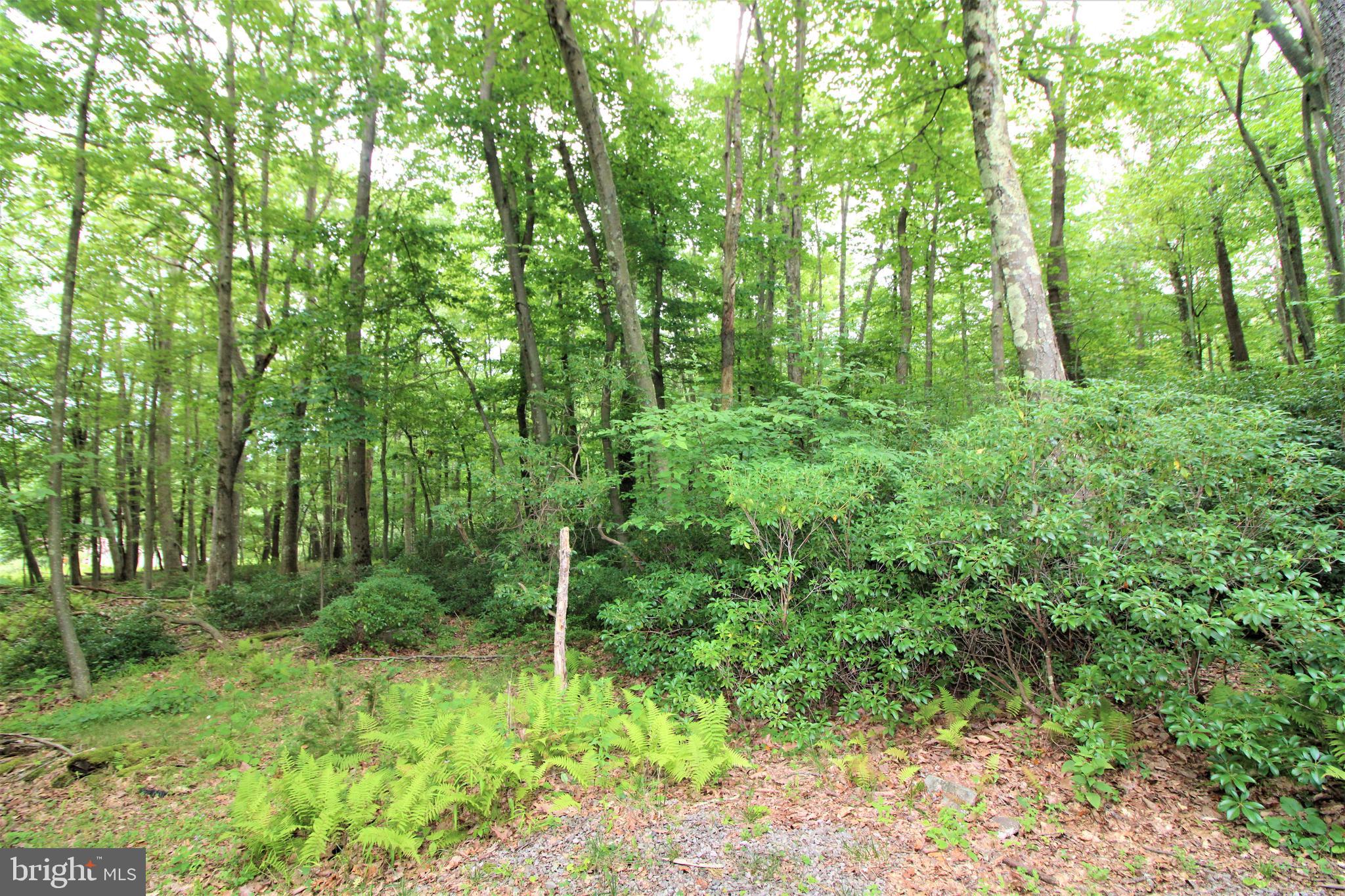 ALPINE LAKE RESORT - Residential