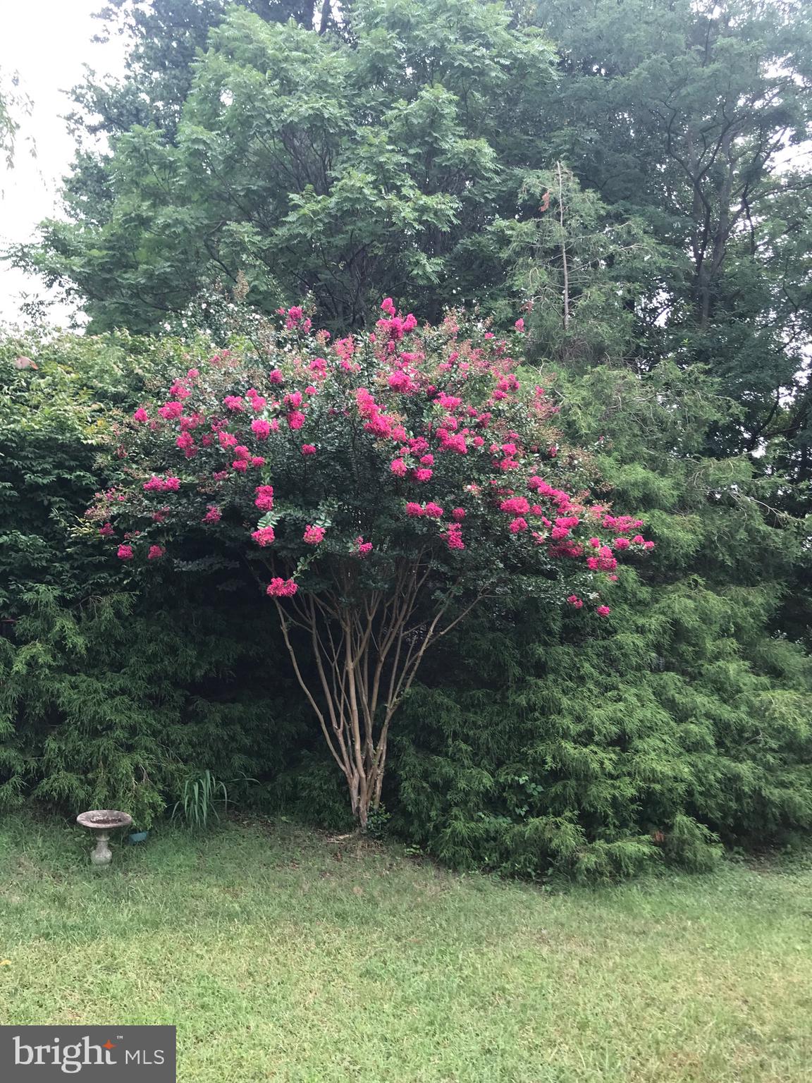 PATAPSCO WOODS - Residential