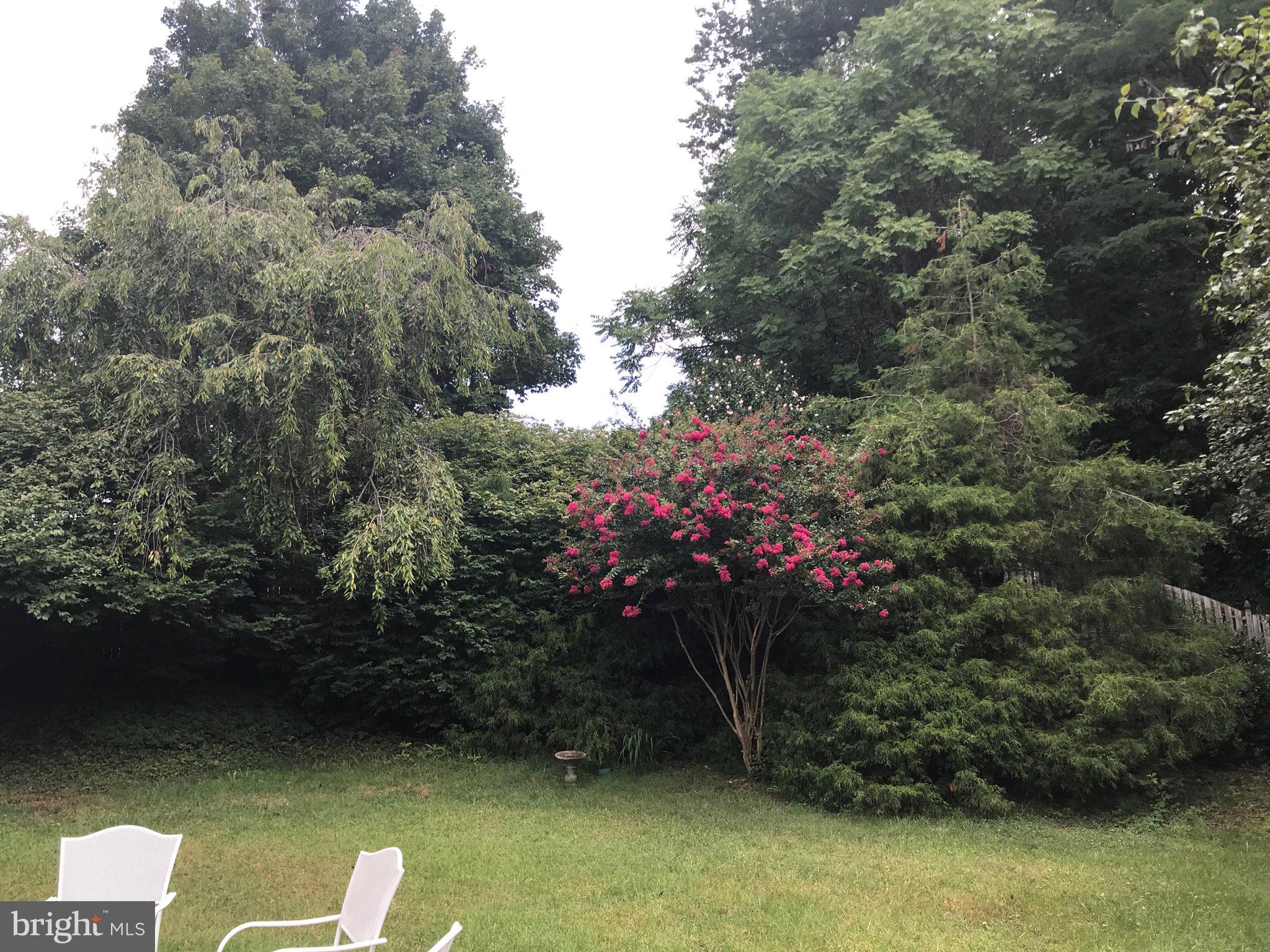 PATAPSCO WOODS - Residential