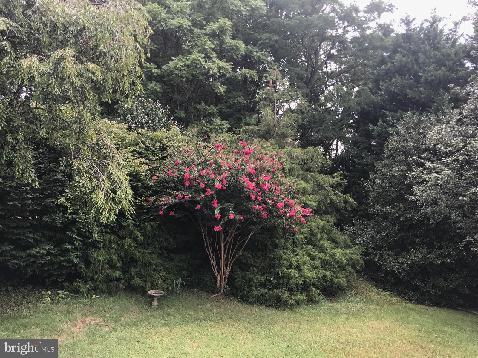 PATAPSCO WOODS - Residential