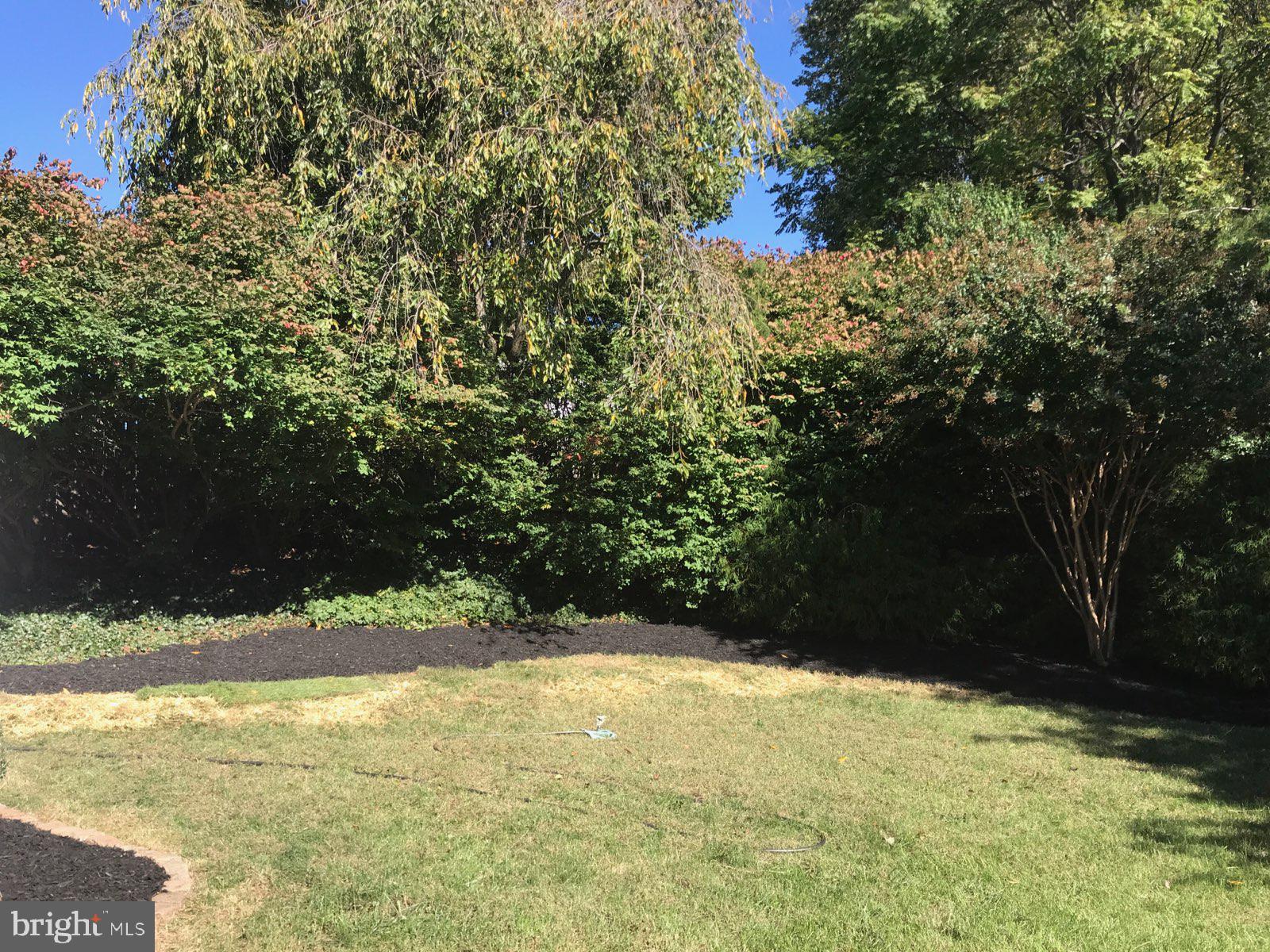 PATAPSCO WOODS - Residential