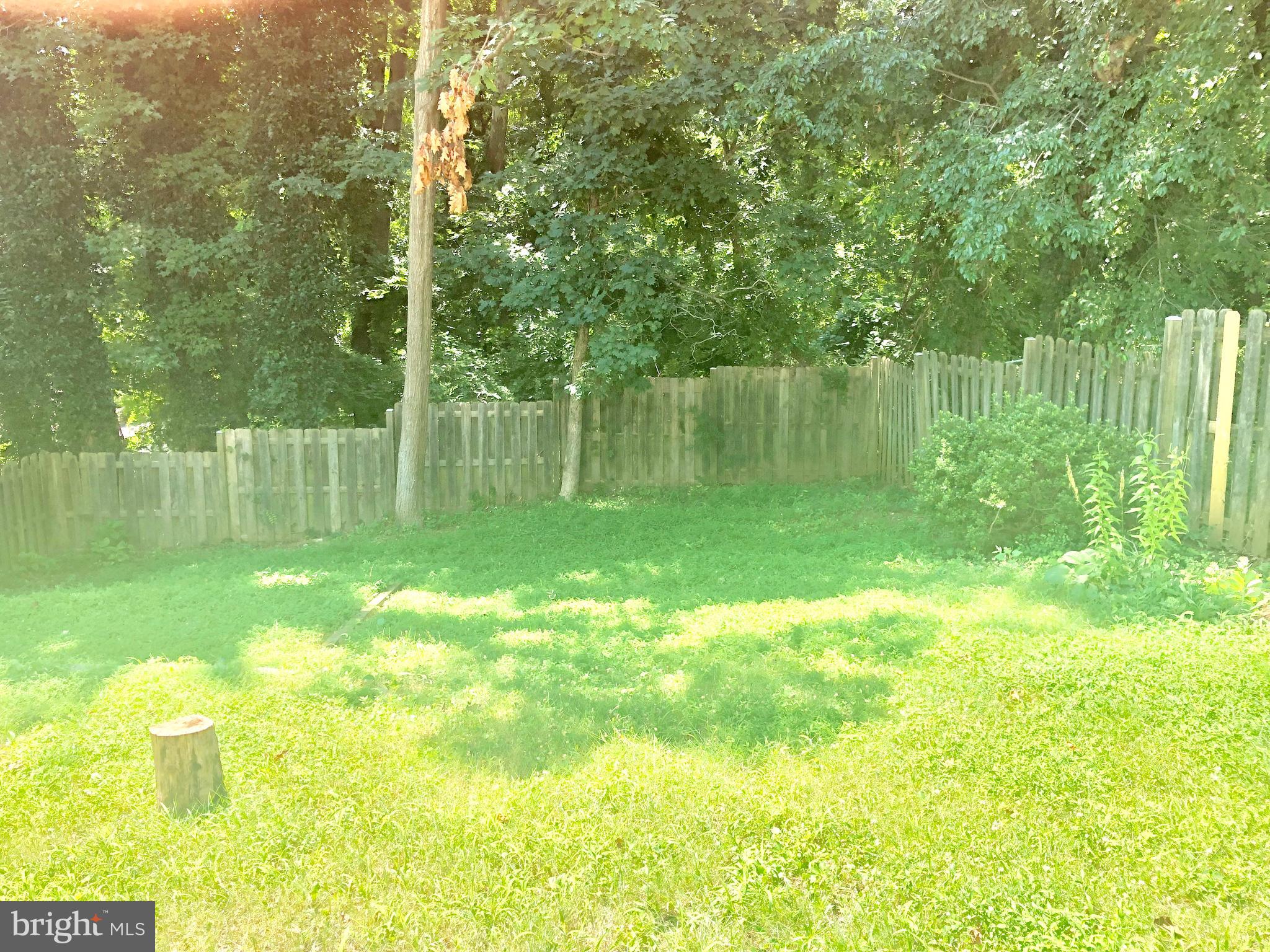 BRIGHTLEAF - Residential Lease