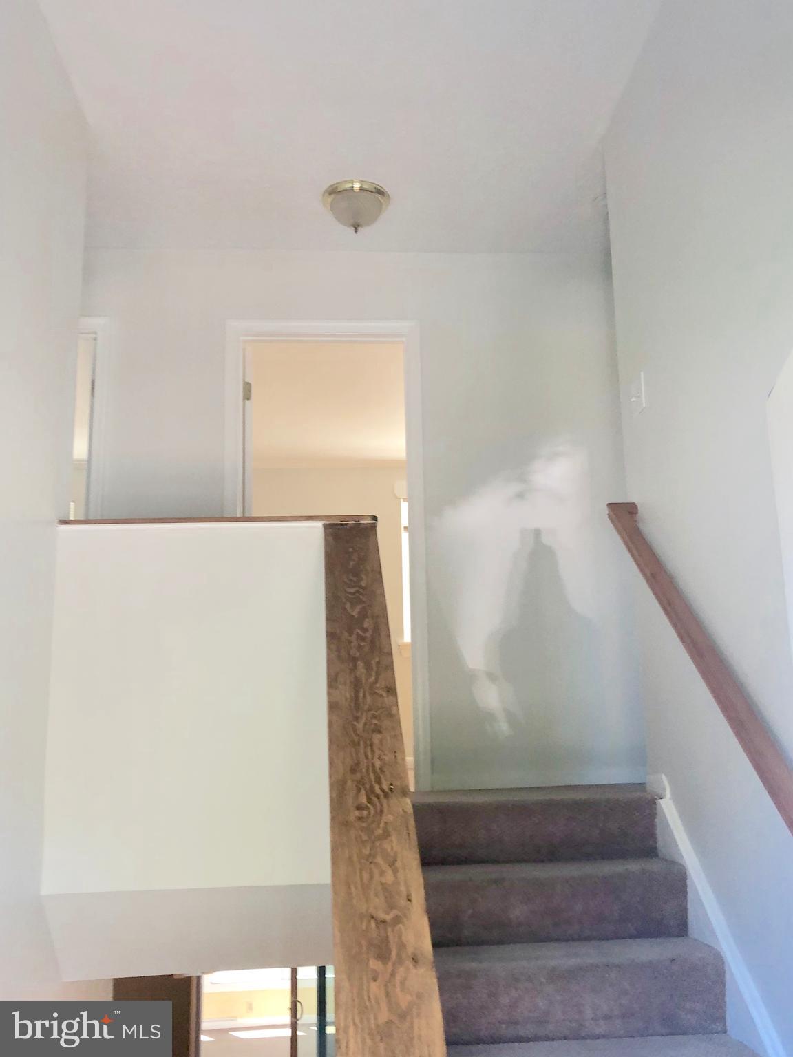 BRIGHTLEAF - Residential Lease