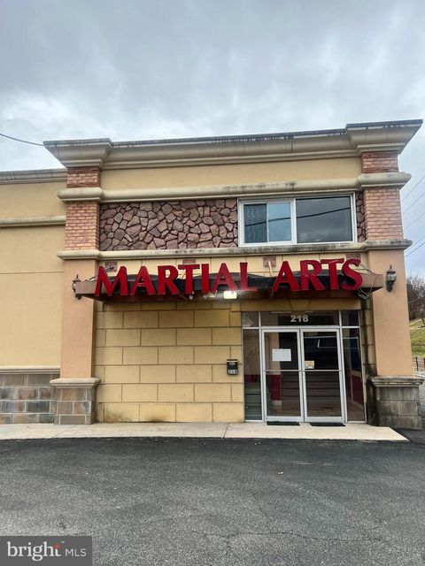 218 W GLEBE ROAD ALEXANDRIA VA 22305