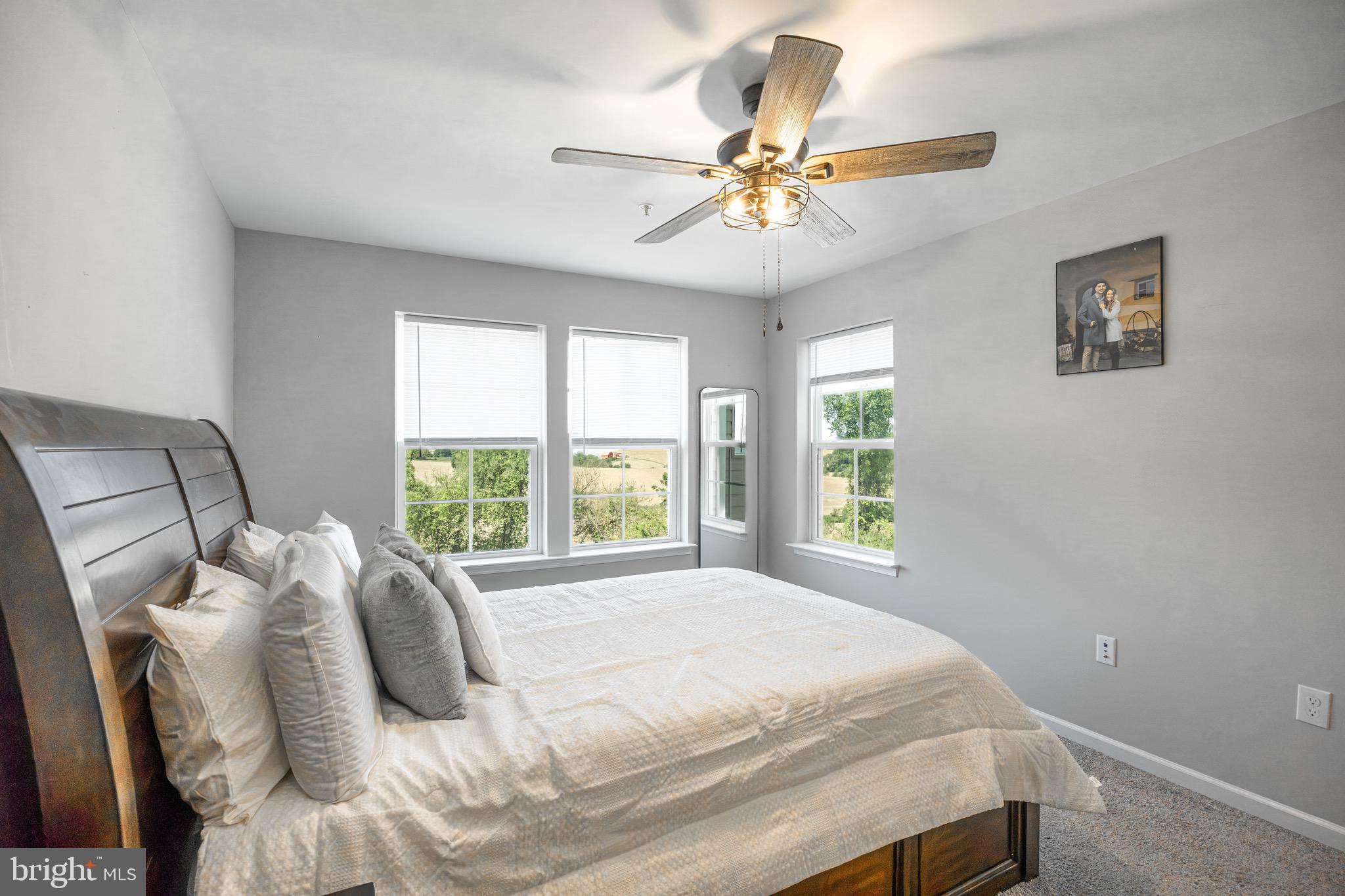 HOMESTEAD ACRES - Residential