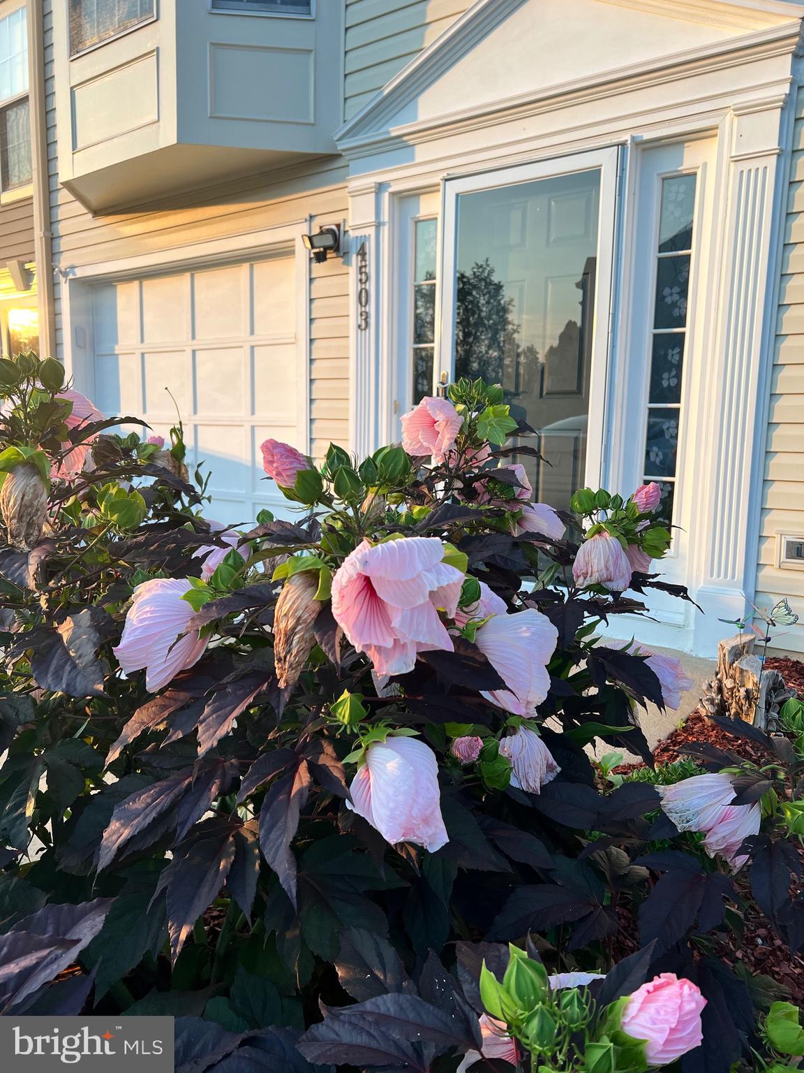 TURNBERRY VILLAGE - Residential