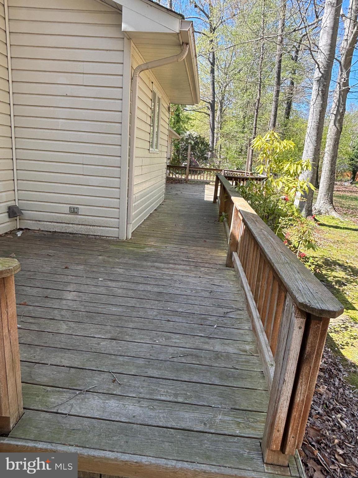 BEECHWOOD - Residential Lease