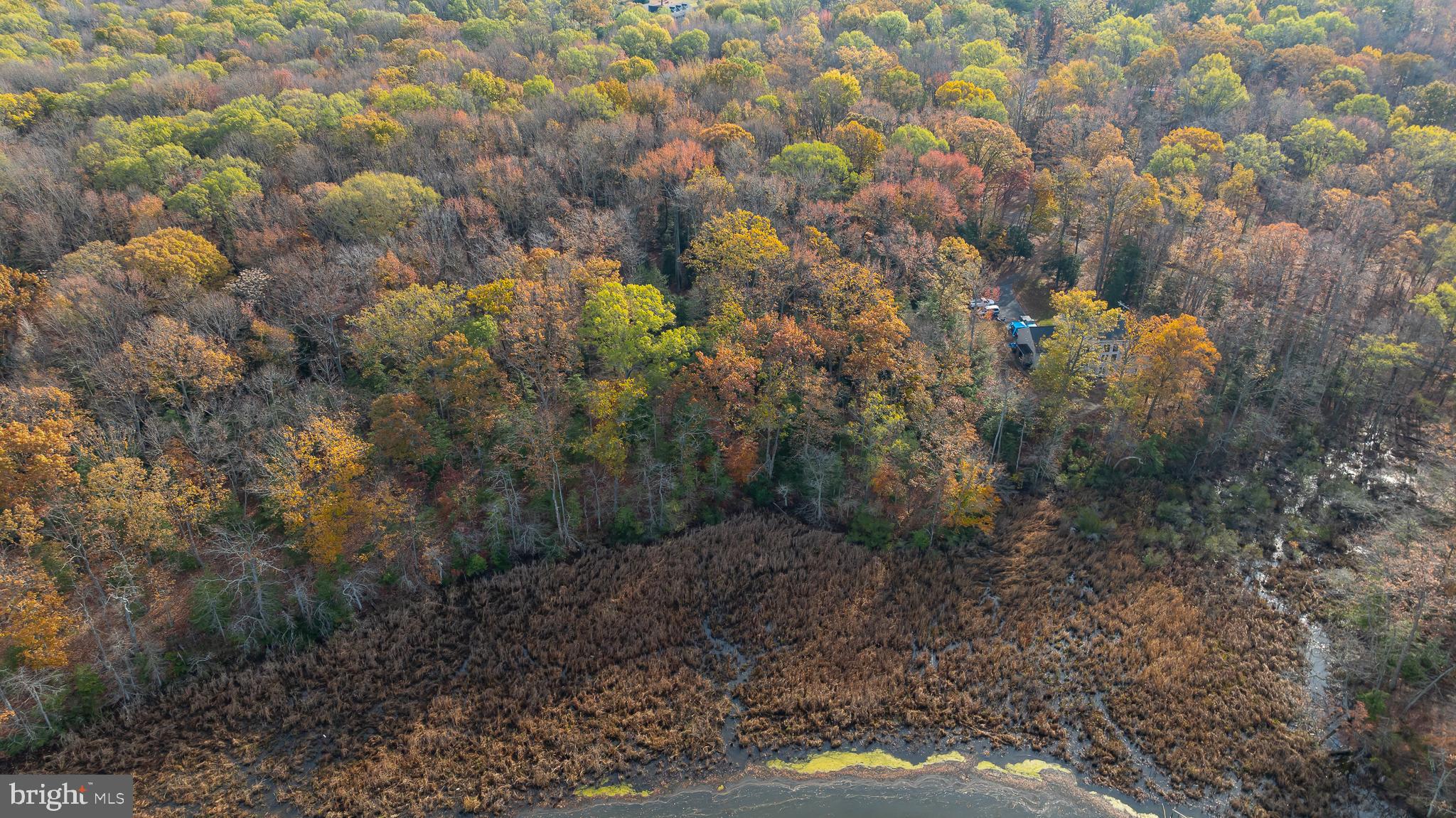SHADY COVE ESTATES - Land