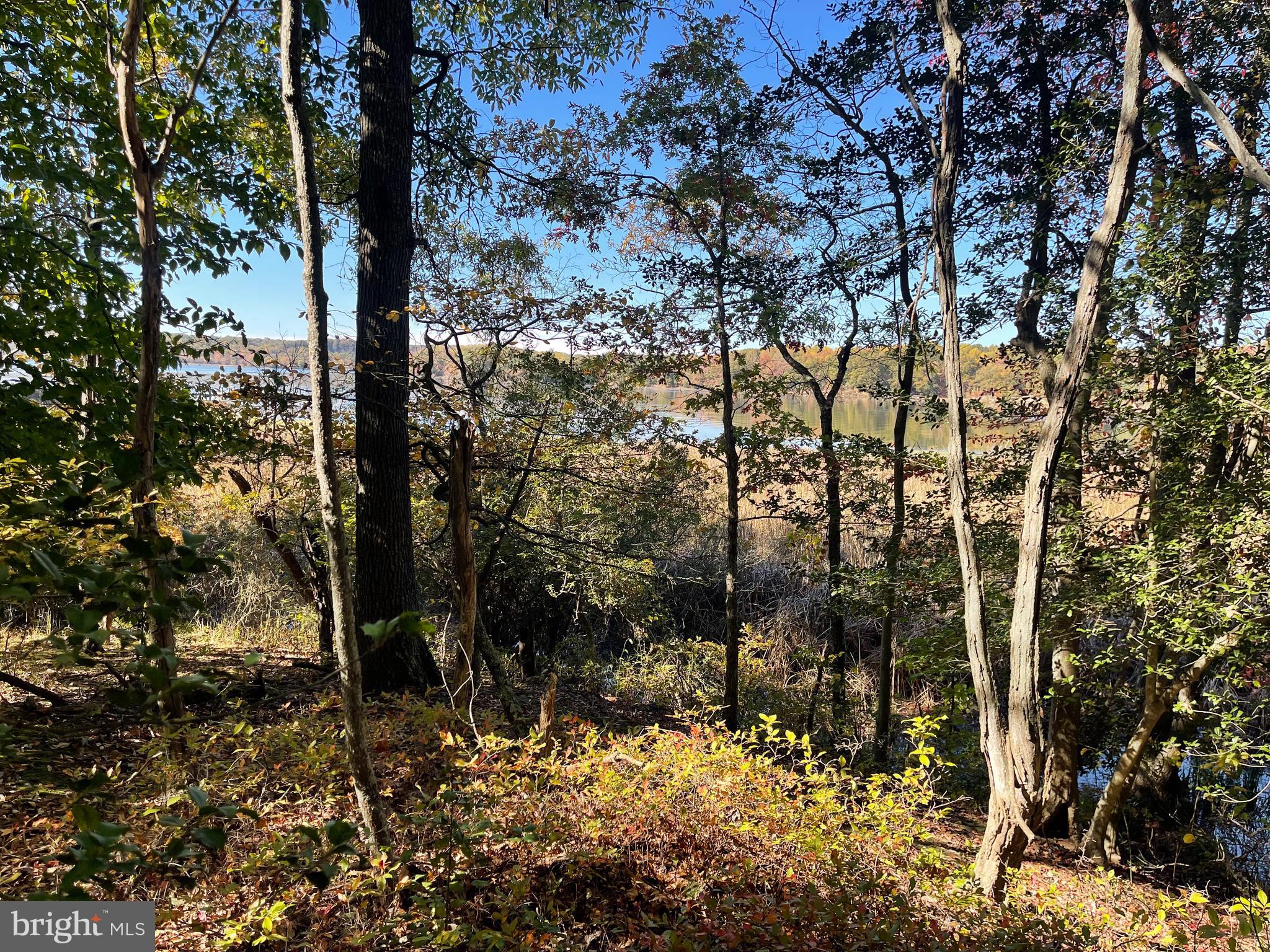 SHADY COVE ESTATES - Land