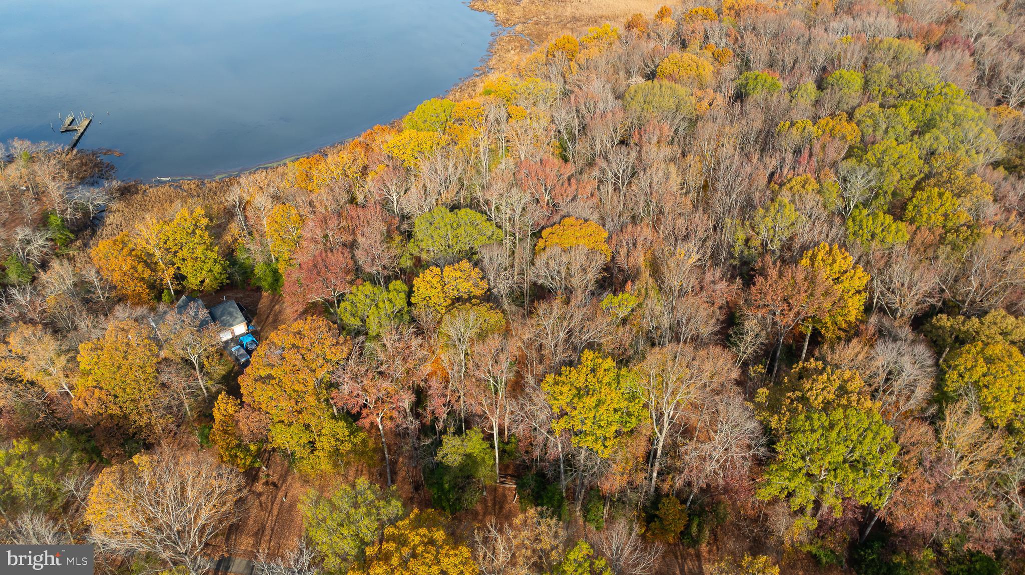 SHADY COVE ESTATES - Land
