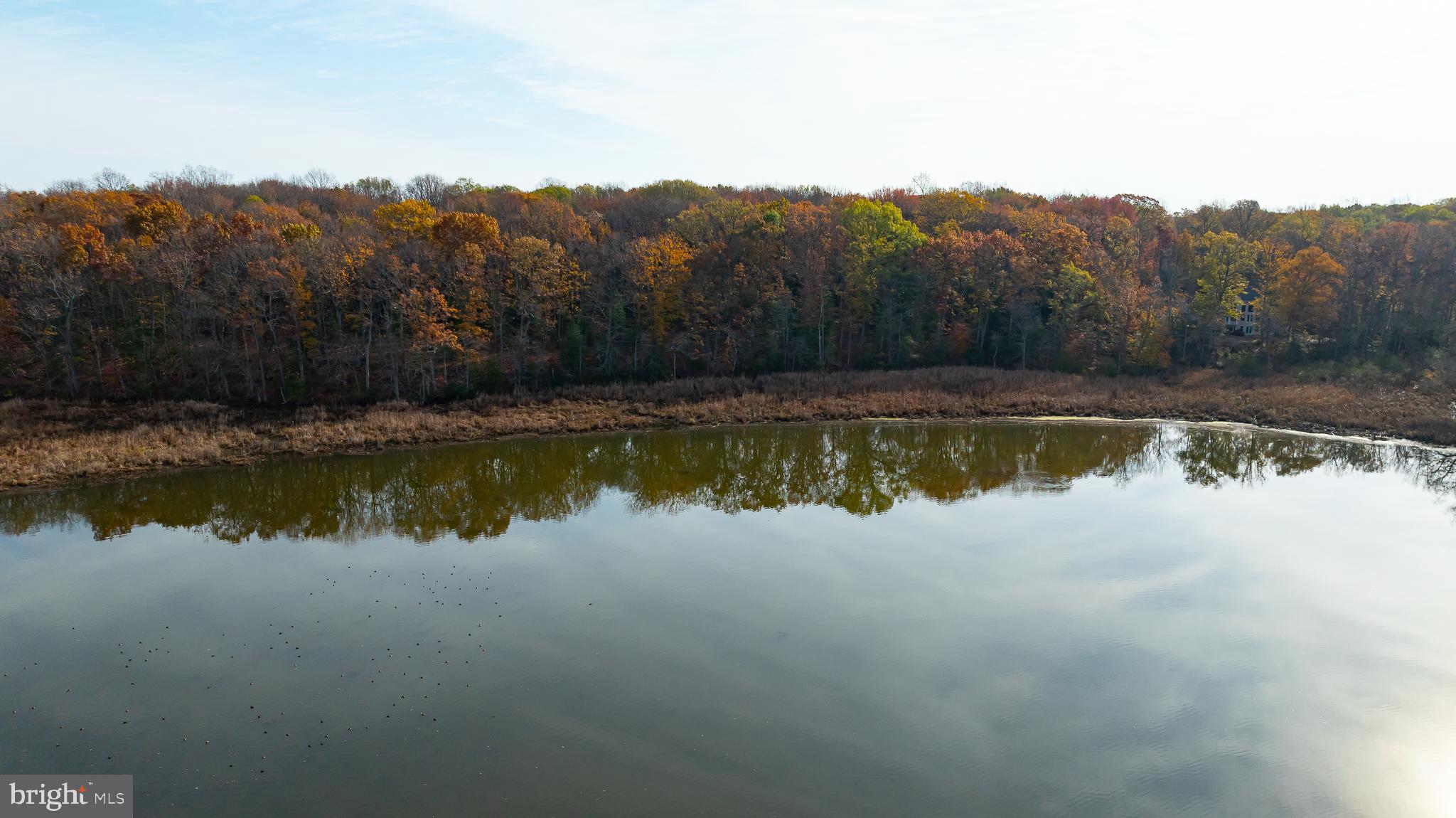 SHADY COVE ESTATES - Land