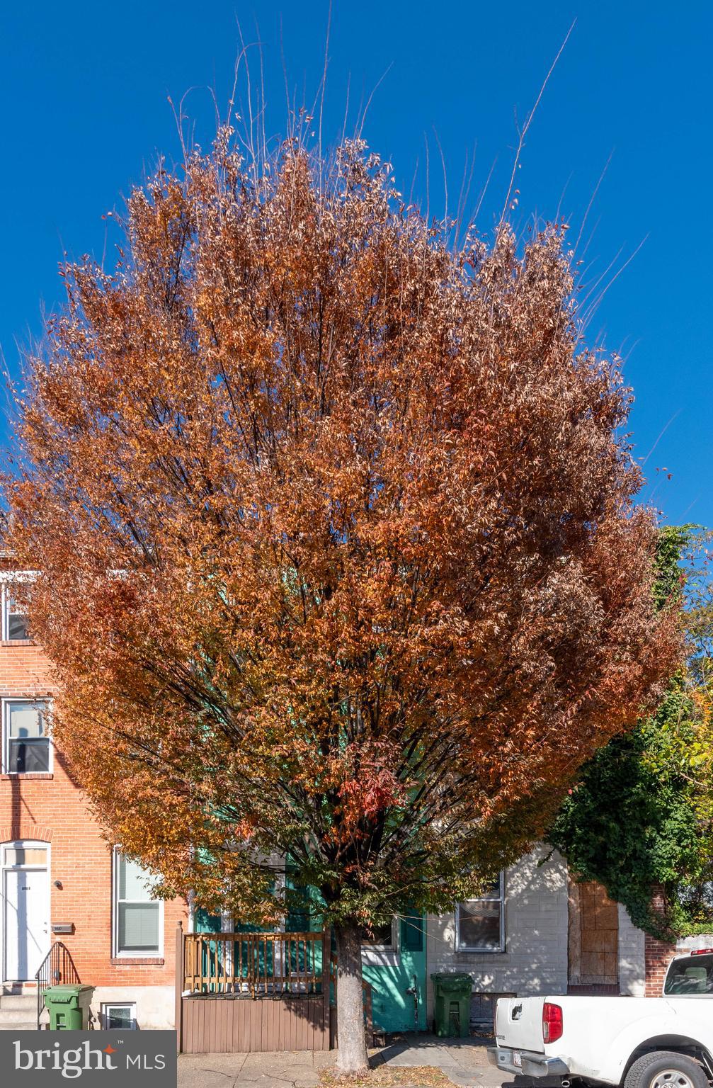 PIGTOWN HISTORIC DISTRICT - Residential