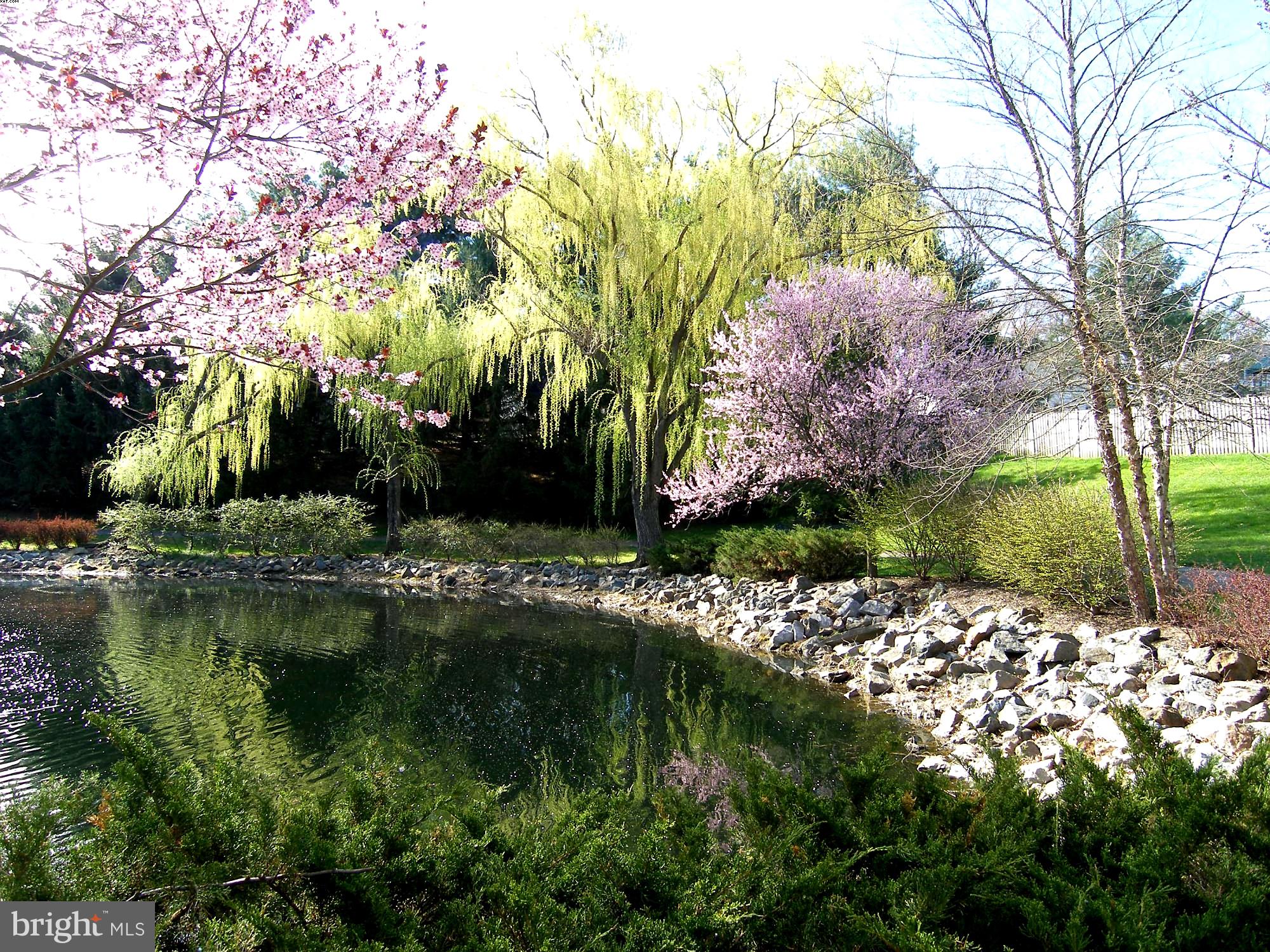 SAYBROOKE - Residential Lease