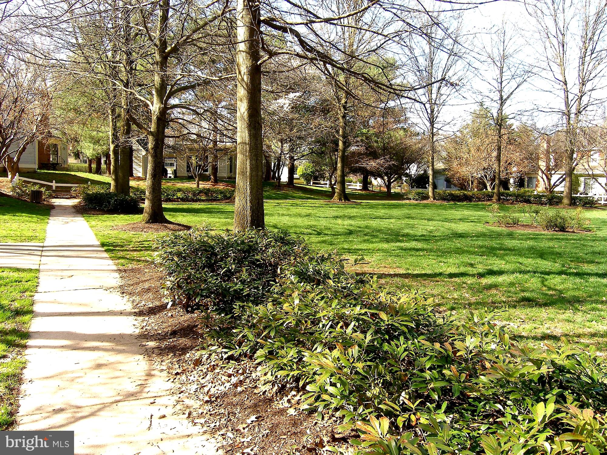 SAYBROOKE - Residential Lease