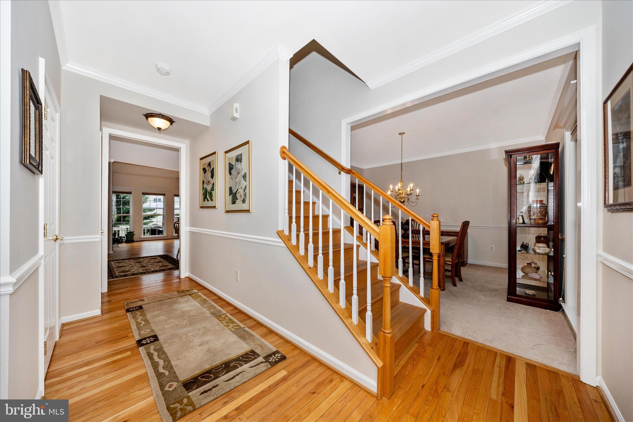 1805 RAINBOW FALLS COURT