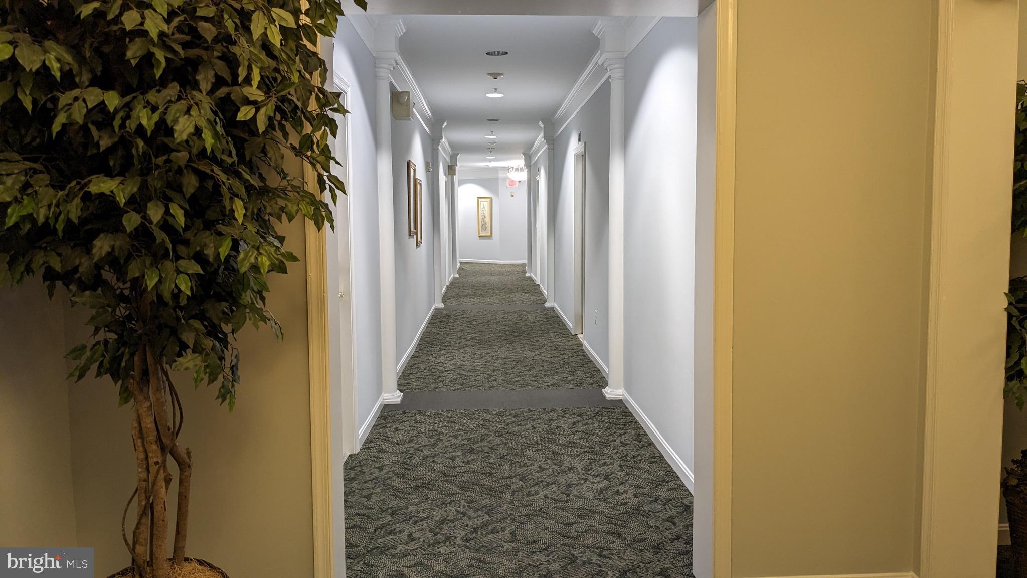 THE VILLAGE AT WAUGH CHAPEL - Residential