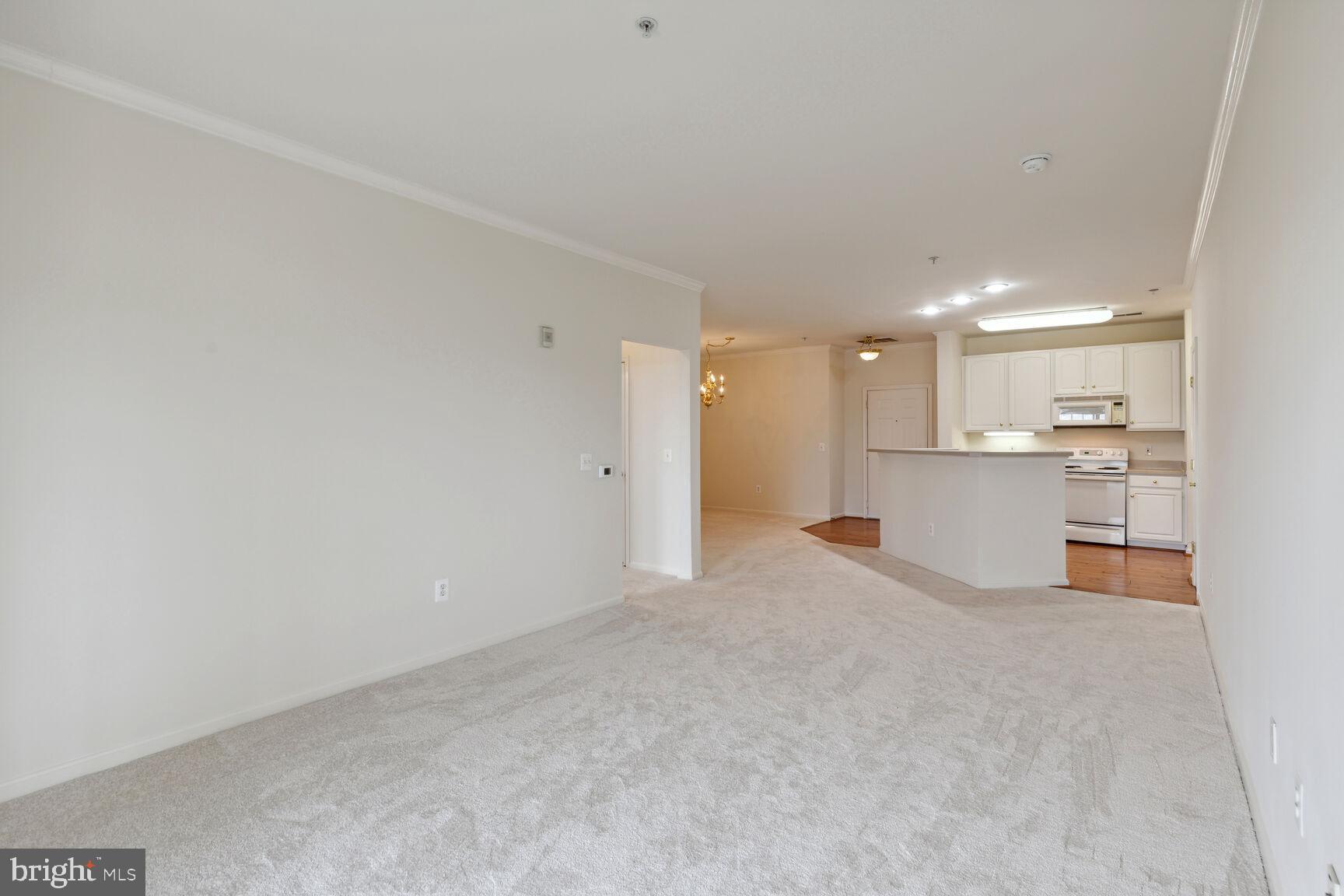 THE VILLAGE AT WAUGH CHAPEL - Residential