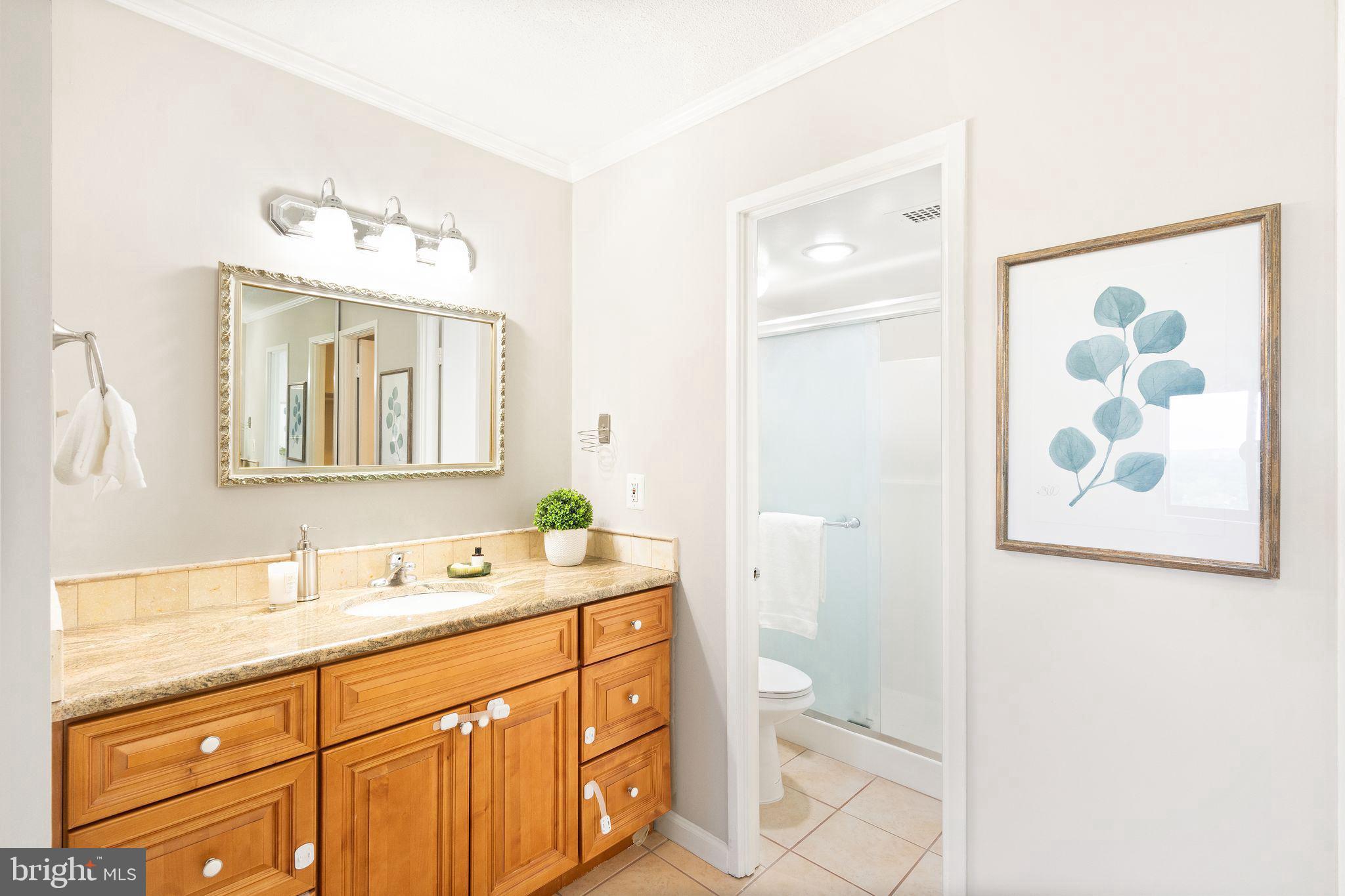 WATERGATE AT LANDMARK - Residential