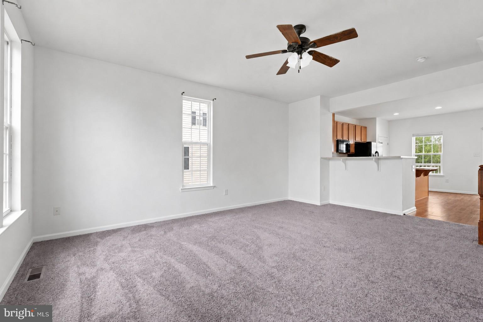 411 RIDGELY BOULEVARD