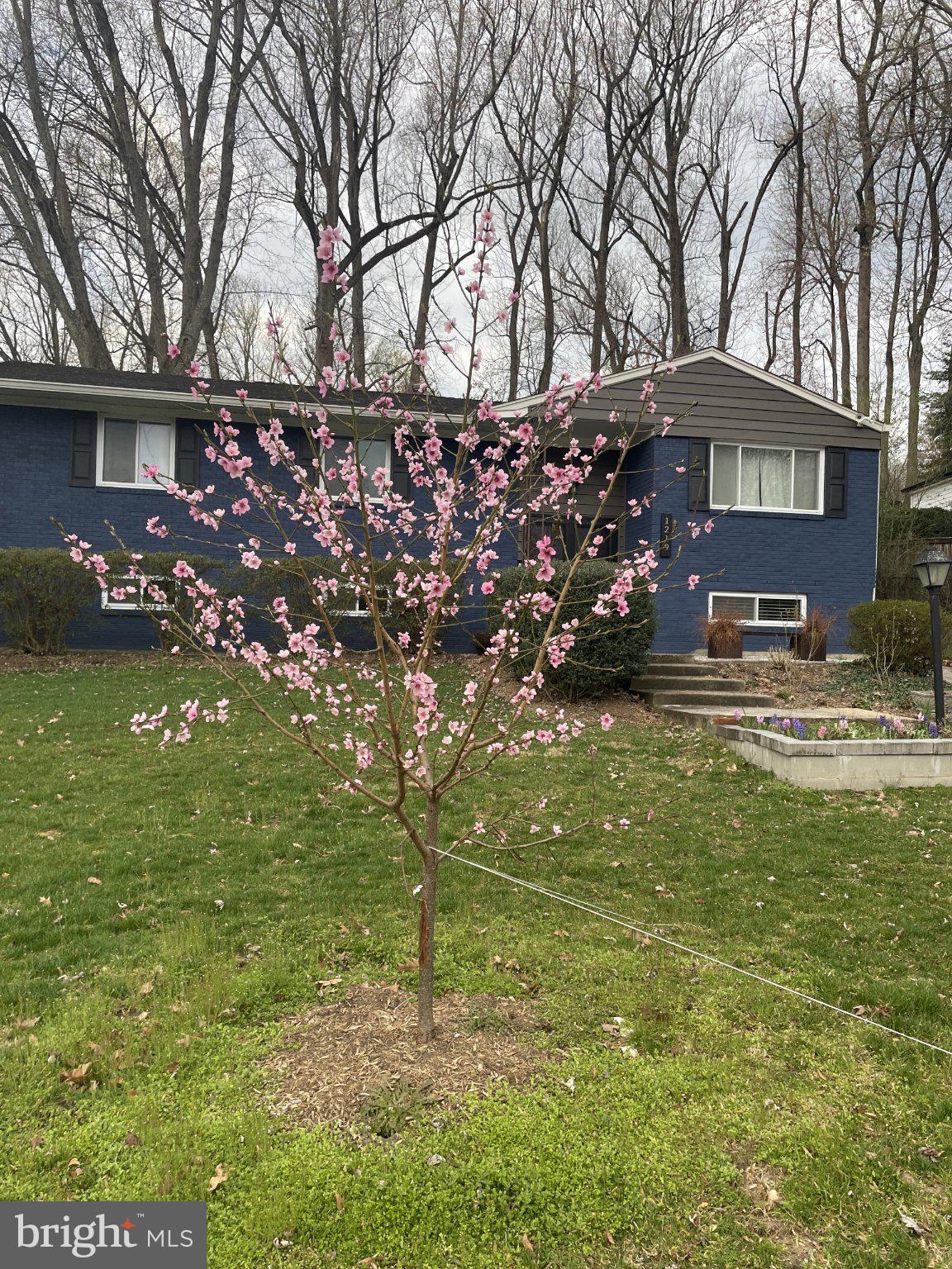 1219 DOWNS DRIVE