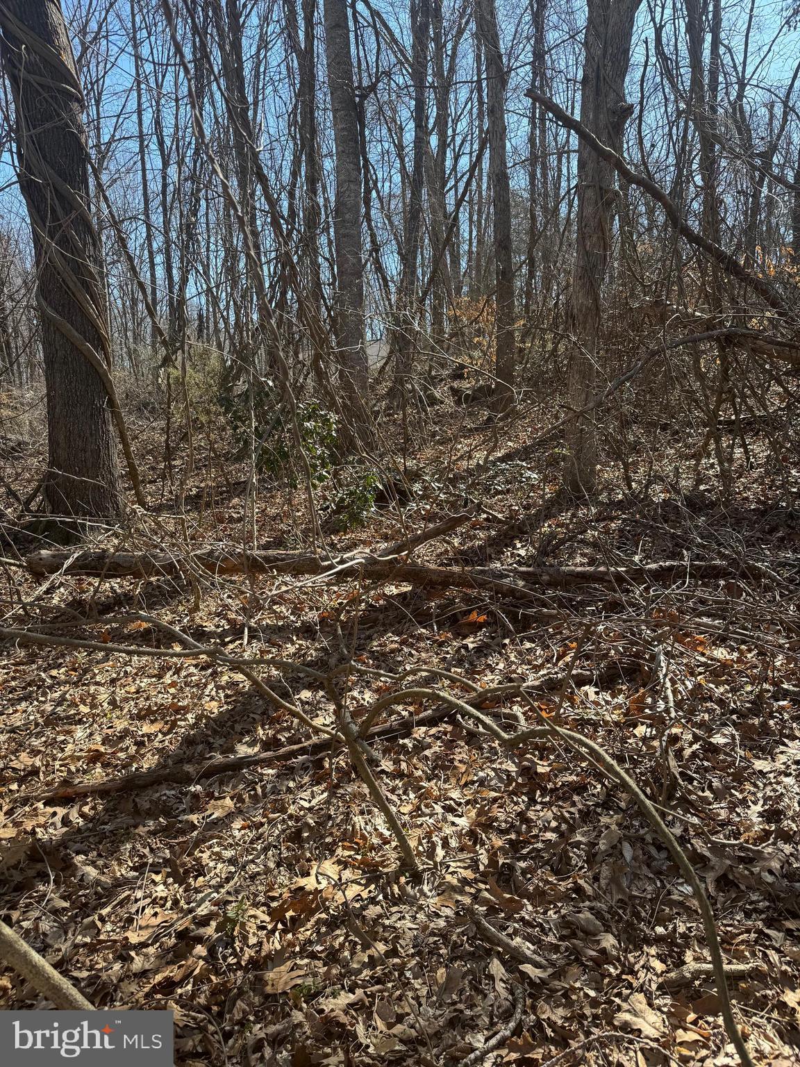 BLUE RIDGE SHORES - Land