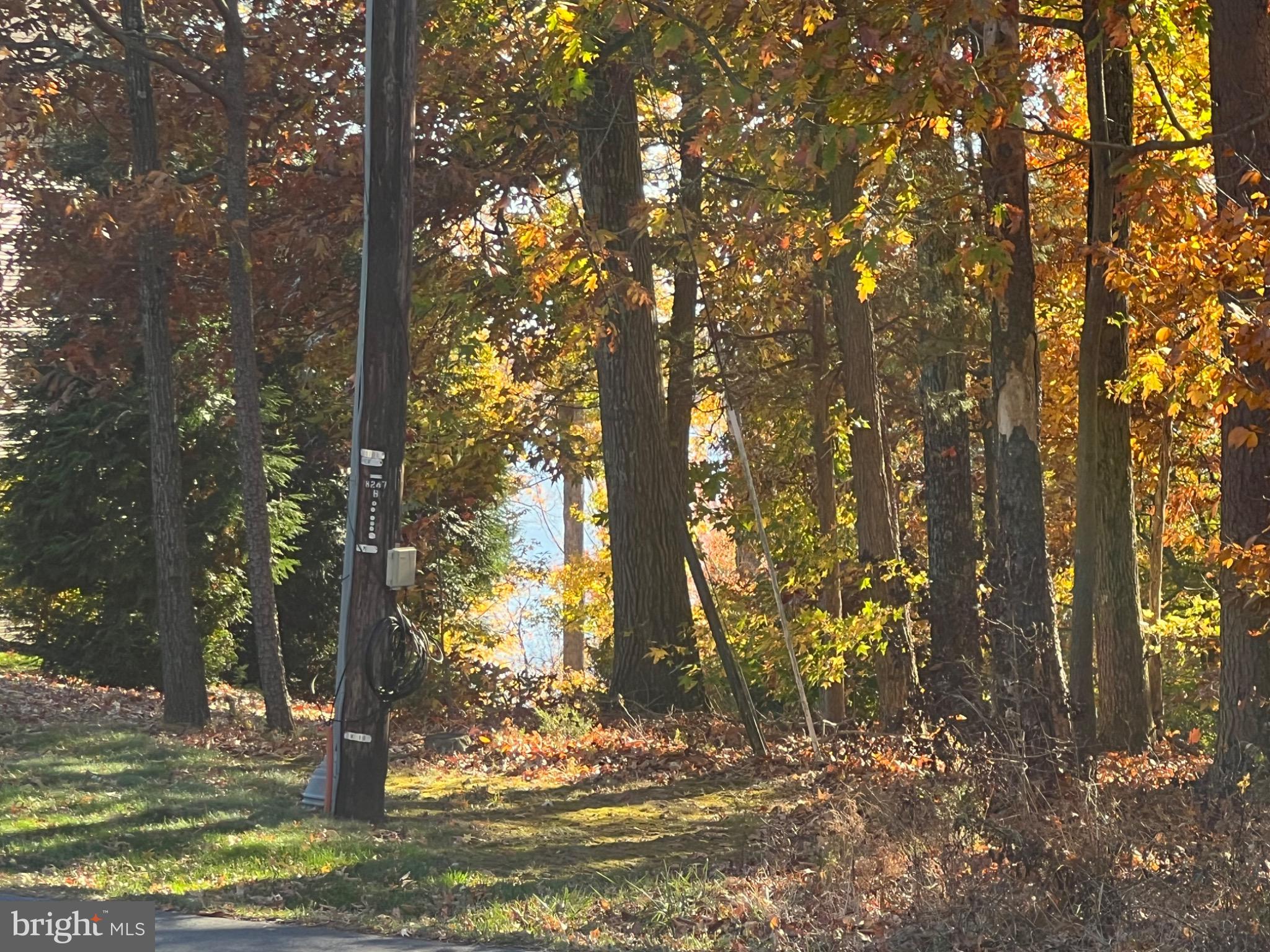 BELMONT PARK ESTATES - Residential