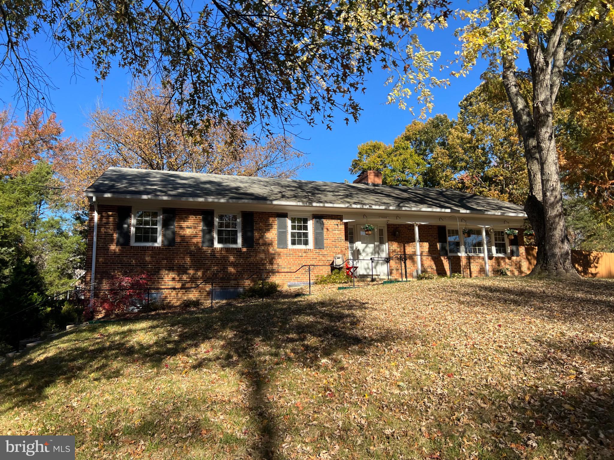 10923 BELMONT BOULEVARD