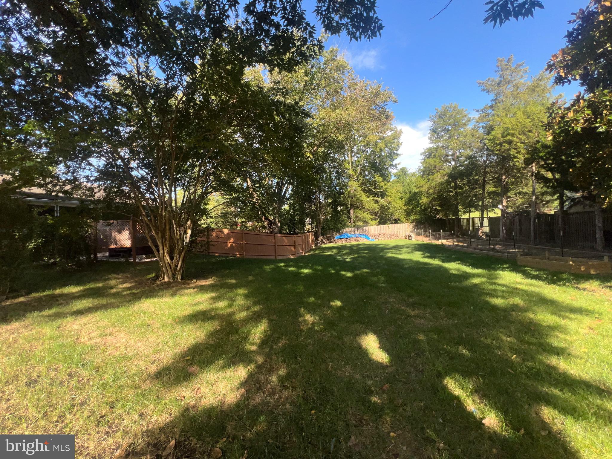 10923 BELMONT BOULEVARD