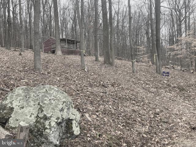 One Acre more or less per deed! Wooded lot backs to trees and Gambrill State Park! Beautiful spot to build your Dream Home! Current owner purchased the lot for recreational purposes only! The 2 room cabin on lot has a cute front porch, bunks beds, kitchen with gas stove, Has electric. To see/show the you will GPS to this property 10264-B Highland School Rd Myersville Md. 21773--- DO NOT Disturb this owner, There is a dirt driveway next to home, you will take to view lot/ cabin on left .Approximately 1/2 mile back. Trees are marked with yellow tape at lot! Sign is posted. It will take a 4- wheel drive to drive the driveway. Cabin and Lot will be Sold As Is.